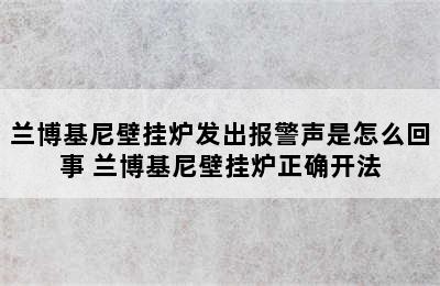 兰博基尼壁挂炉发出报警声是怎么回事 兰博基尼壁挂炉正确开法